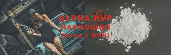 хмурый Верея