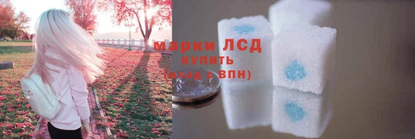 молекула духа Верхний Тагил