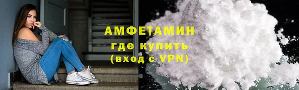 хмурый Верея