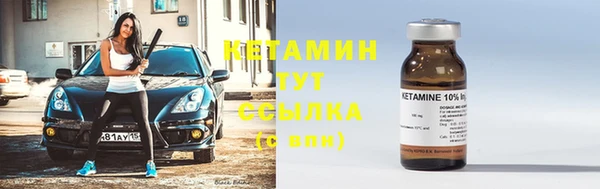 хмурый Верея