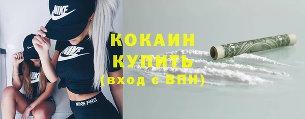 хмурый Верея