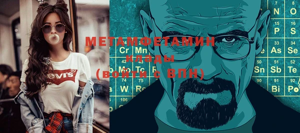 хмурый Верея