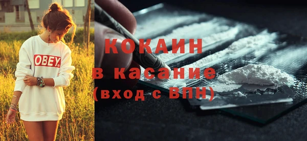 хмурый Верея