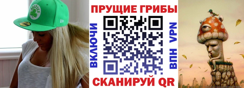 Псилоцибиновые грибы Psilocybe  Купить закладки  Севастополь 
